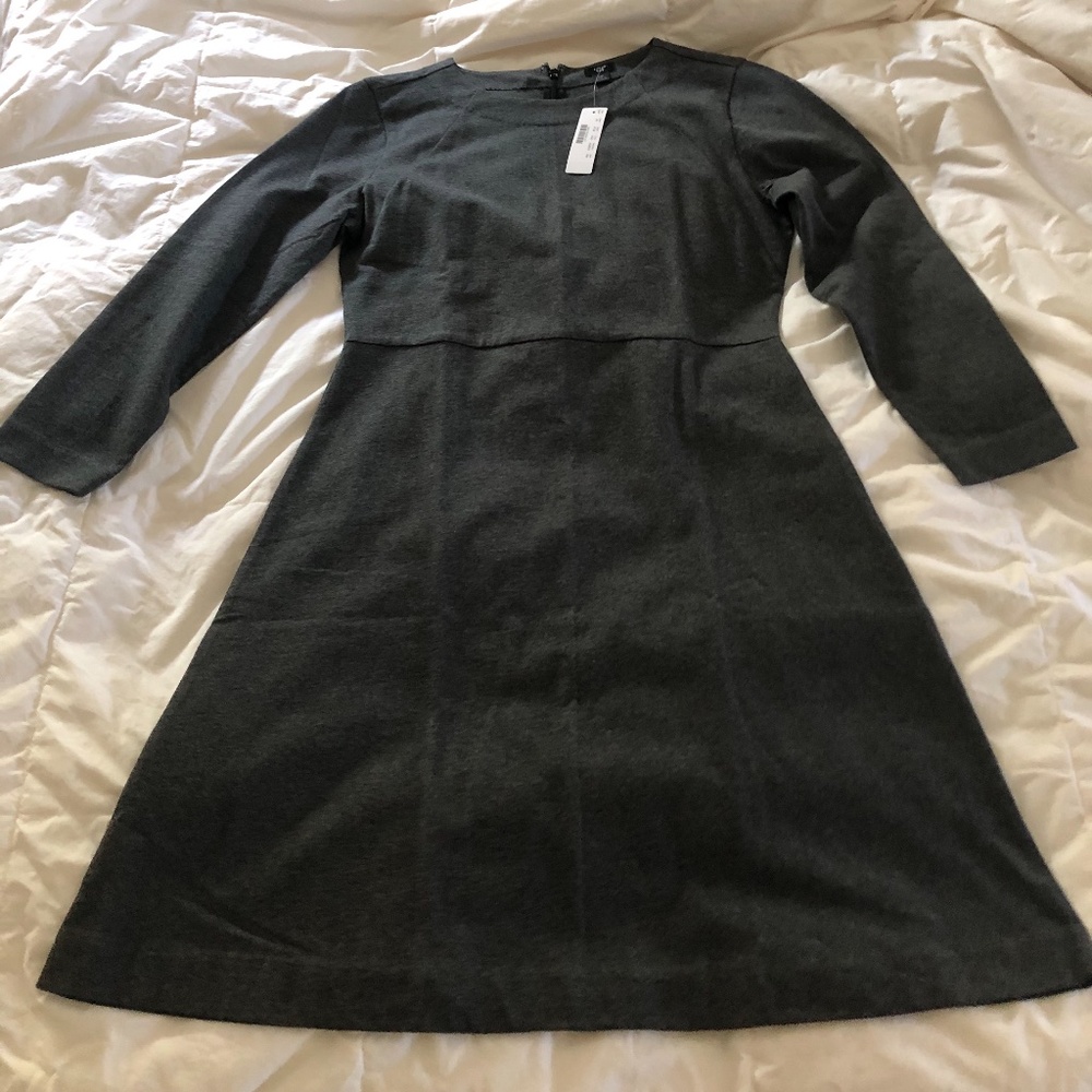 J Crew dress NWT Medium Petite